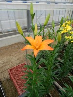 [5708 DJ AZ-07 No01.JPG]